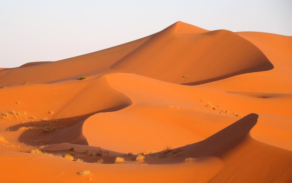 Kasbah Tamariste Bed & Breakfast Merzouga Ngoại thất bức ảnh