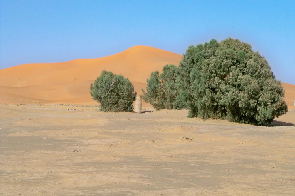 Kasbah Tamariste Bed & Breakfast Merzouga Ngoại thất bức ảnh