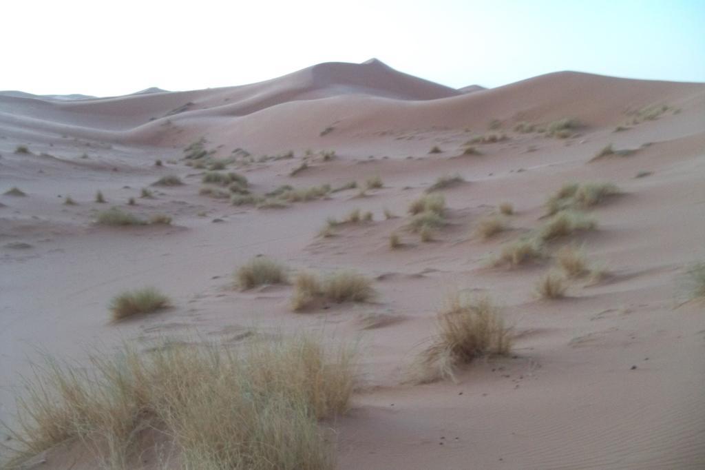 Kasbah Tamariste Bed & Breakfast Merzouga Ngoại thất bức ảnh